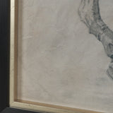 Polo Player II by Mercana Studio a Hand Embellished Textured Framed Art Print Matted under Glass from Mercana - Luna Furniture
