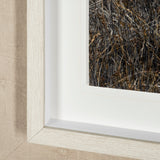 Humphry by Assaf Frank a Framed Photo Art Print Matted under Glass from Mercana - Luna Furniture