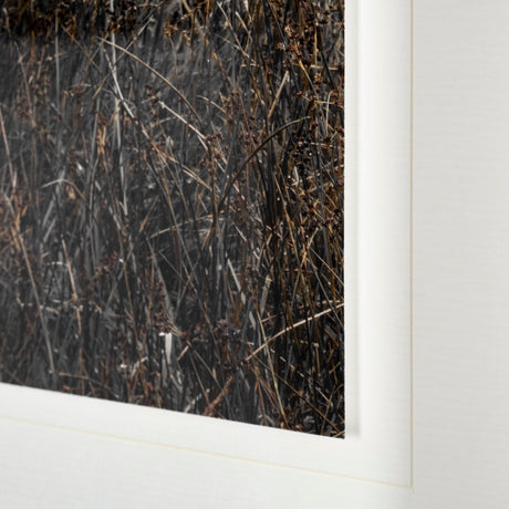 Humphry by Assaf Frank a Framed Photo Art Print Matted under Glass from Mercana - Luna Furniture