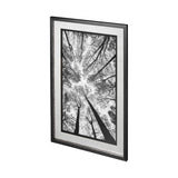 Looking Up I BW by Mercana Studio a Hand Embellished Textured Framed Photo Art Print Matted under Gl from Mercana - Luna Furniture
