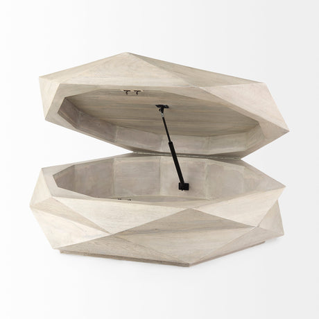 Arreto 48" Natural Solid Wood Hexagonal Storage Coffee Table from Mercana - Luna Furniture