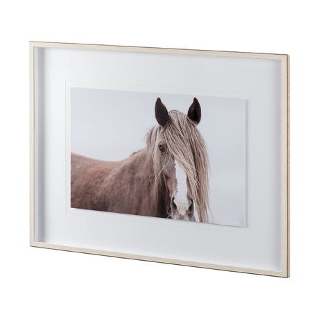 Wild Mane by Mercana Studio a Framed Photo Art Print Matted under Glass from Mercana - Luna Furniture