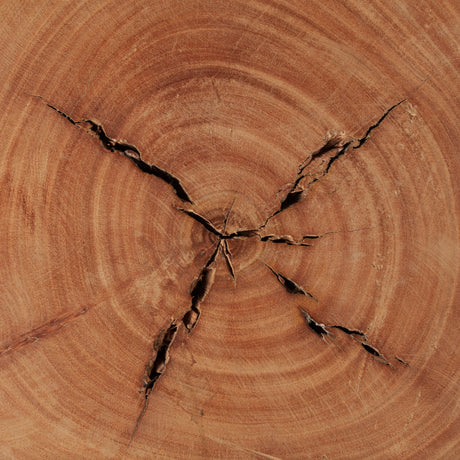 Asco 18"H Rustic Solid Reclaimed Wood Stool from Mercana - Luna Furniture