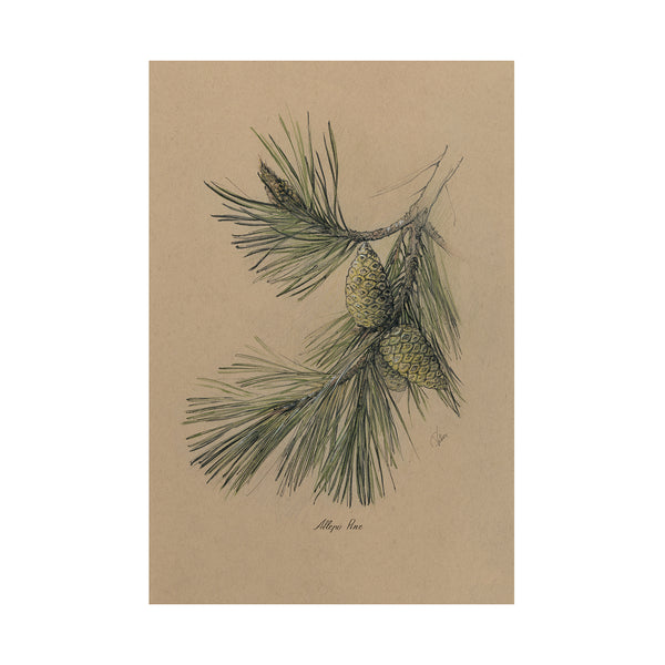 Evergreen collection I by Victoria a Hand Embellished Textured Canvas