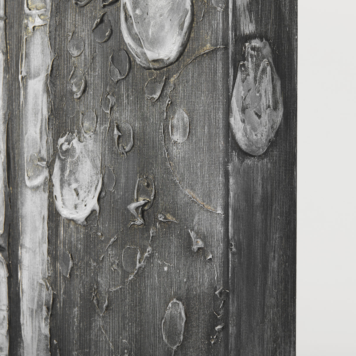 Birch Trees by Studio M a Hand Embellished Gallery-Wrapped Canvas Print from Mercana - Luna Furniture