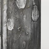 Birch Trees by Studio M a Hand Embellished Gallery-Wrapped Canvas Print from Mercana - Luna Furniture