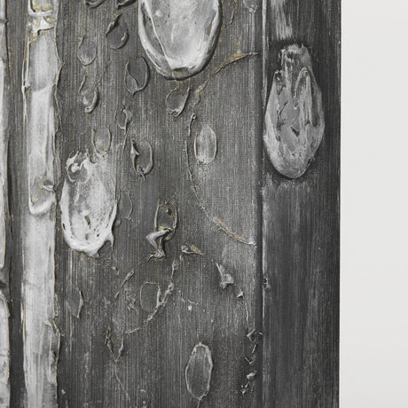 Birch Trees by Studio M a Hand Embellished Gallery-Wrapped Canvas Print from Mercana - Luna Furniture