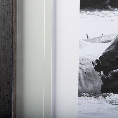 Water Horses III by PHBurchett a Framed Photo Art Print Matted under Glass from Mercana - Luna Furniture