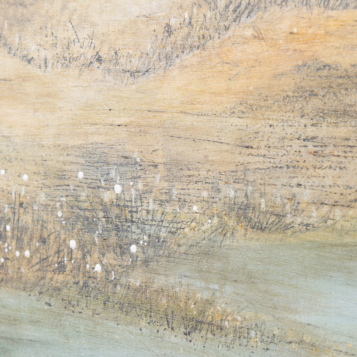 Daily Fly Over by Julie Devine a Canvas Print from Mercana - Luna Furniture
