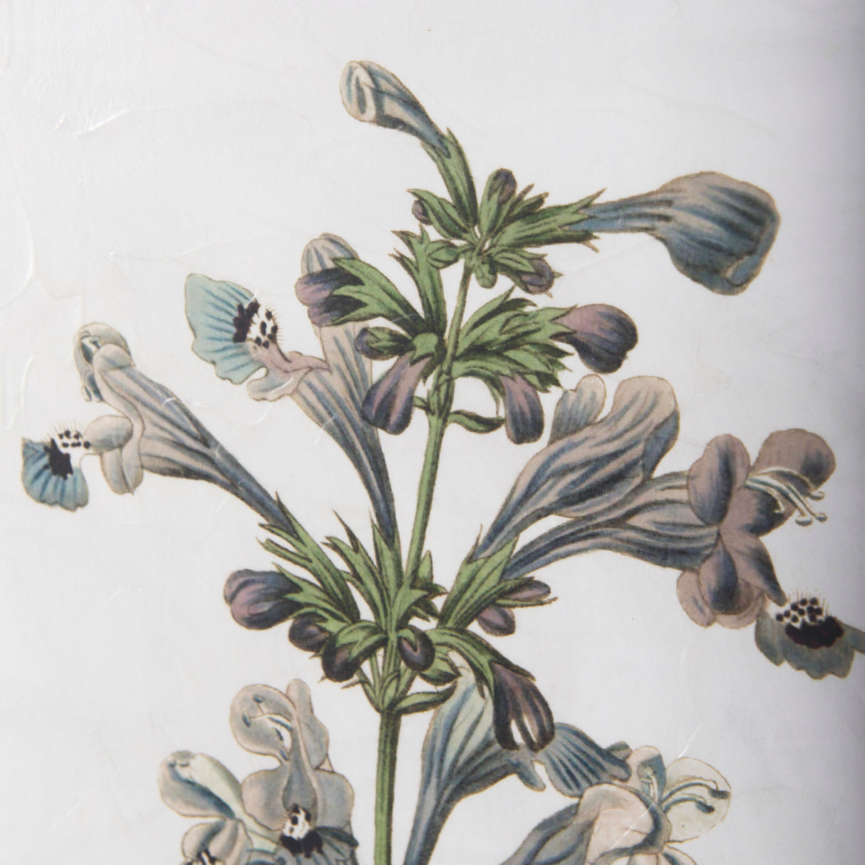 Soft Blue Botanoicals III by Mercana Studio Hand Embellished Framed Art Print Matted under Glass from Mercana - Luna Furniture