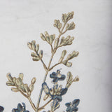 Soft Blue Botanoicals IV by Mercana Studio Hand Embellished Framed Art Print Matted under Glass from Mercana - Luna Furniture