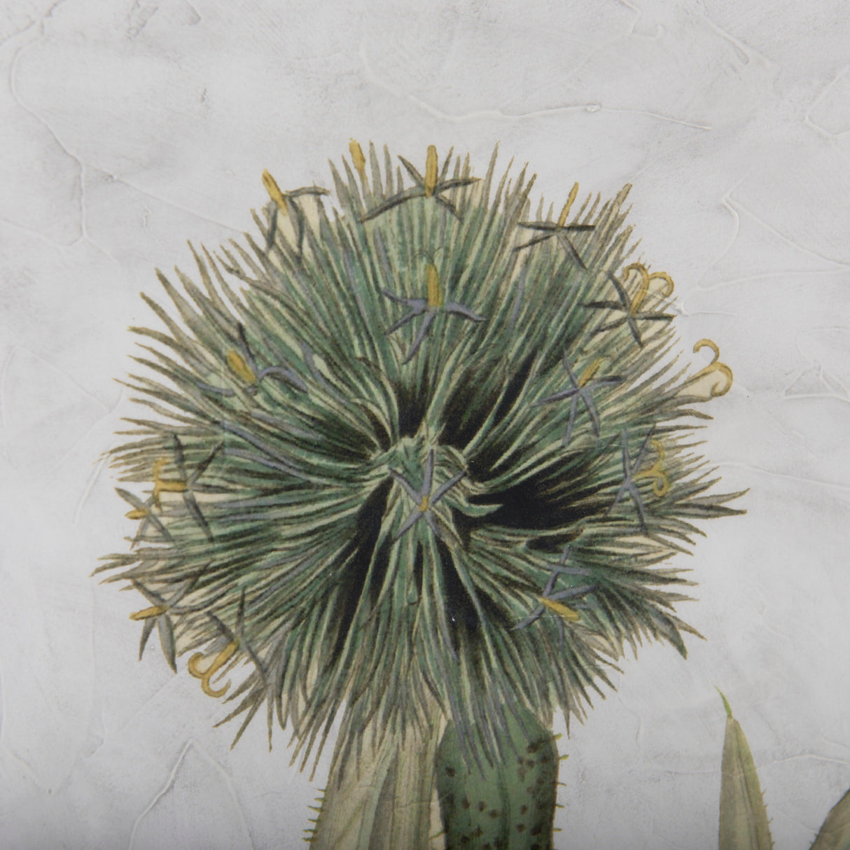 Soft Blue Botanoicals VI by Mercana Studio Hand Embellished Framed Art Print Matted under Glass from Mercana - Luna Furniture