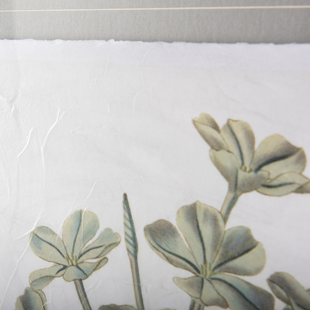 Soft Blue Botanoicals VII by Mercana Studio Hand Embellished Framed Art Print Matted under Glass from Mercana - Luna Furniture