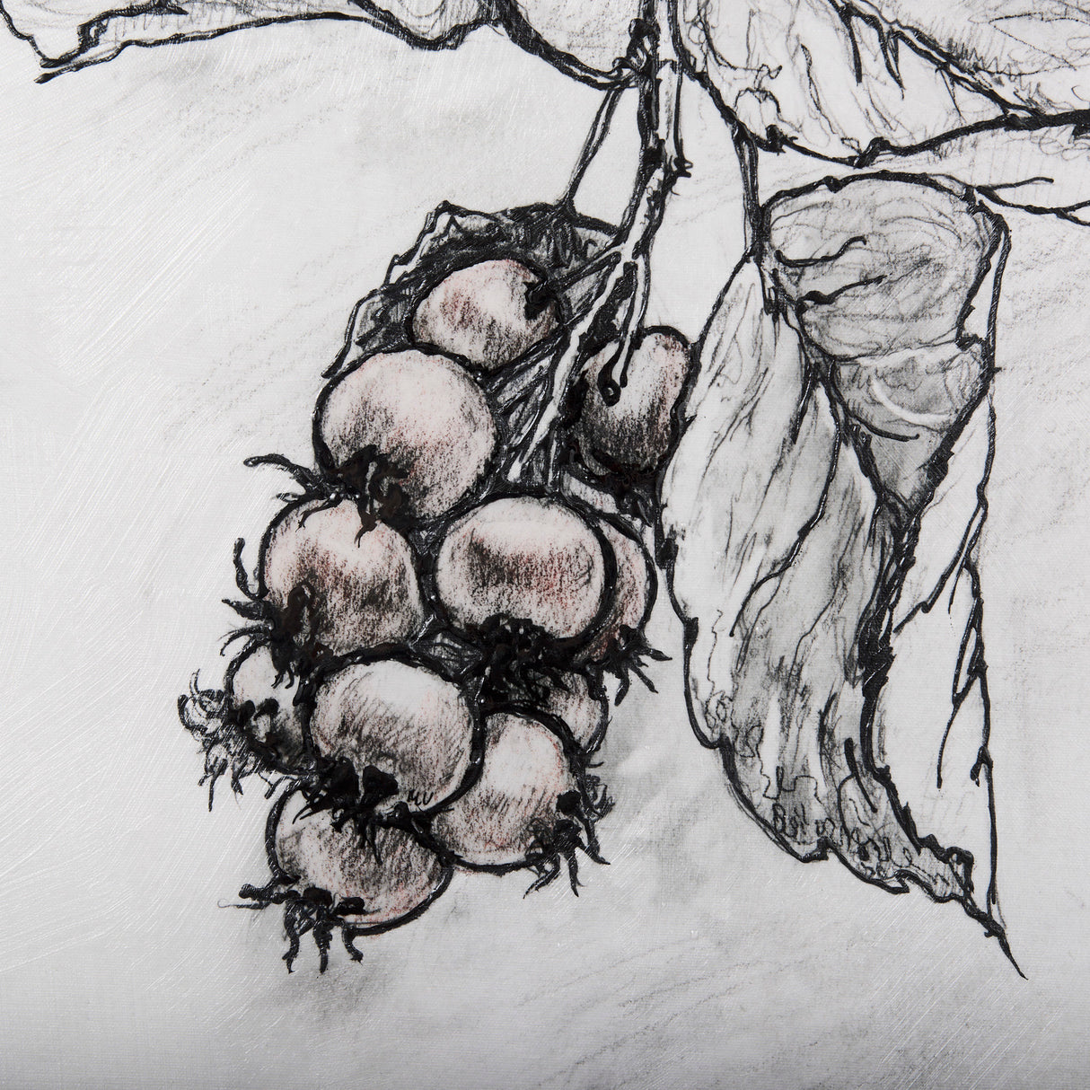 Wildberry Collection Saskatoonberry by Ariana a Hand Embellished Textured Canvas from Mercana - Luna Furniture
