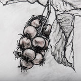 Wildberry Collection Saskatoonberry by Ariana a Hand Embellished Textured Canvas from Mercana - Luna Furniture