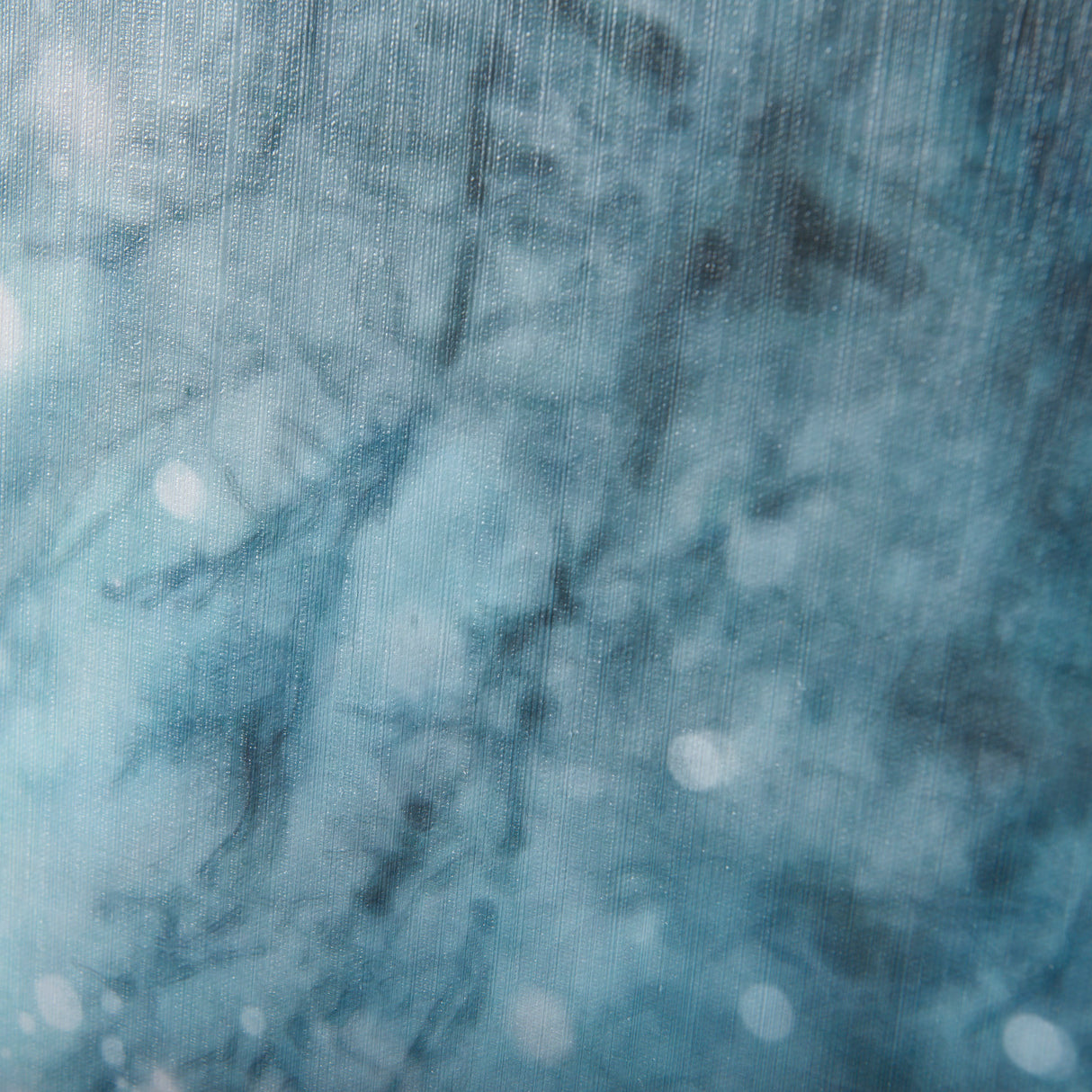 Winter Racoon by Mercana Studio a Hand Embellished Textured Canvas from Mercana - Luna Furniture