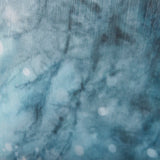 Winter Racoon by Mercana Studio a Hand Embellished Textured Canvas from Mercana - Luna Furniture