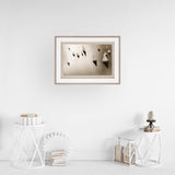 Broads Regatta, Island Yachts by Ben Wood Hand Embelished Framed Photo Art Print Matted under Glass from Mercana - Luna Furniture