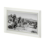 Road Trip III by Elizabeth Urquhart a Framed Photo Art Print Matted under Glass from Mercana - Luna Furniture