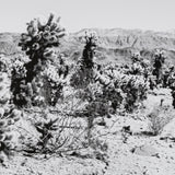 Road Trip III by Elizabeth Urquhart a Framed Photo Art Print Matted under Glass from Mercana - Luna Furniture