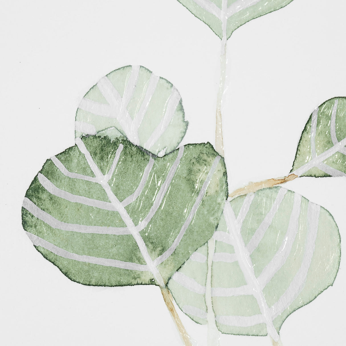 Soft Eucalyptus Branch II by Emma Scarvey Hand Embellished Framed Art Print Matted under Glass from Mercana - Luna Furniture