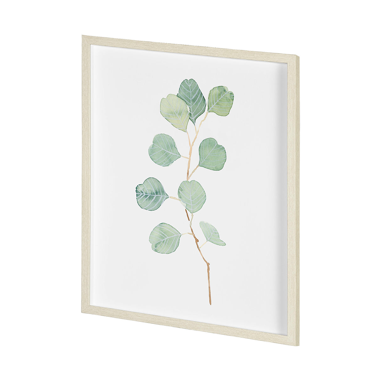 Soft Eucalyptus Branch IV by Emma Scarvey Hand Embellished Framed Art Print Matted under Glass from Mercana - Luna Furniture