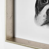 Floyd (Boston Terrier 1) by Mercana Studio Hand Embellished Framed Art Print Matted under Glass from Mercana - Luna Furniture