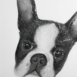 Floyd (Boston Terrier 1) by Mercana Studio Hand Embellished Framed Art Print Matted under Glass from Mercana - Luna Furniture