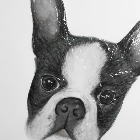 Floyd (Boston Terrier 1) by Mercana Studio Hand Embellished Framed Art Print Matted under Glass from Mercana - Luna Furniture