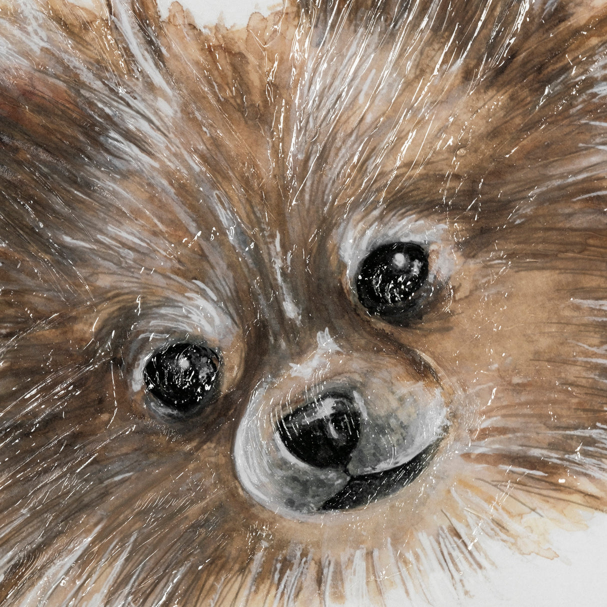 Frankie (Pomeranian 1) by Mercana Studio Hand Embellished Framed Art Print Matted under Glass from Mercana - Luna Furniture