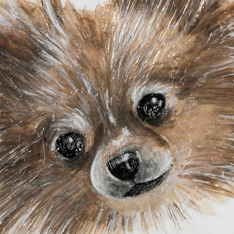 Frankie (Pomeranian 1) by Mercana Studio Hand Embellished Framed Art Print Matted under Glass from Mercana - Luna Furniture