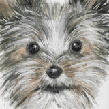 Eddie (Yorkie 1) by Mercana Studio a Hand Embellished Textured Framed Art Print Matted under Glass from Mercana - Luna Furniture