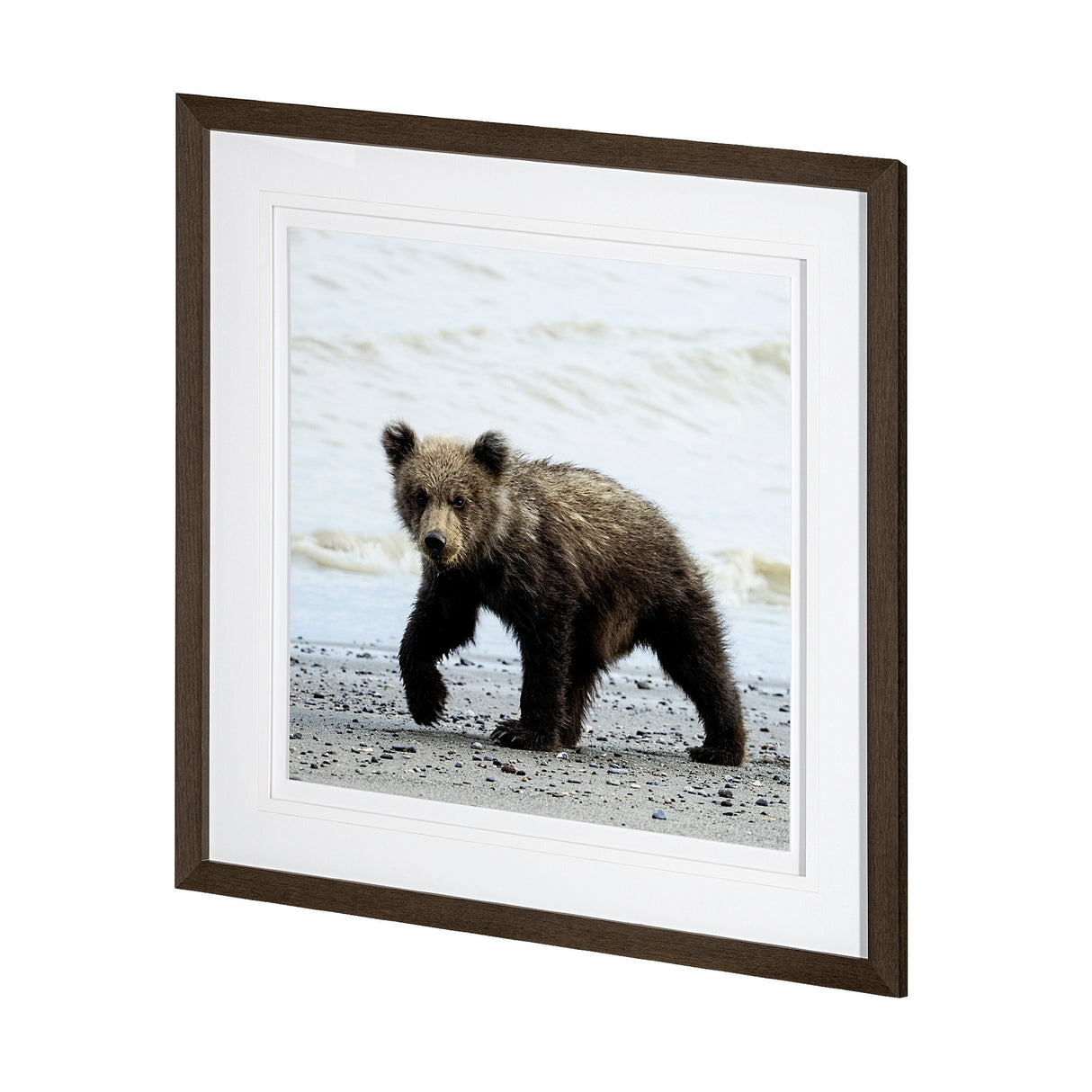 Curious Cub by Wink Gaines a Hand Embellished Textured Framed Art Photograph Matted under Glass from Mercana - Luna Furniture