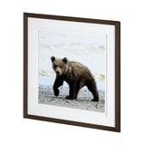Curious Cub by Wink Gaines a Hand Embellished Textured Framed Art Photograph Matted under Glass from Mercana - Luna Furniture