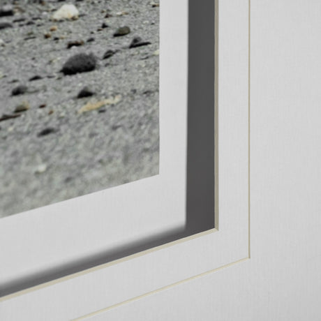 Curious Cub by Wink Gaines a Hand Embellished Textured Framed Art Photograph Matted under Glass from Mercana - Luna Furniture