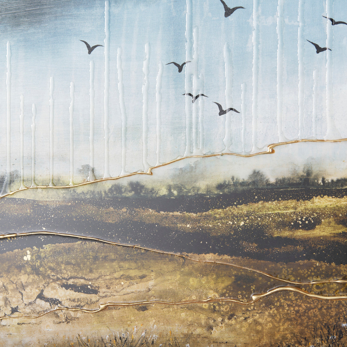 Daily Fly Over by Julie Devine a Canvas Print from Mercana - Luna Furniture