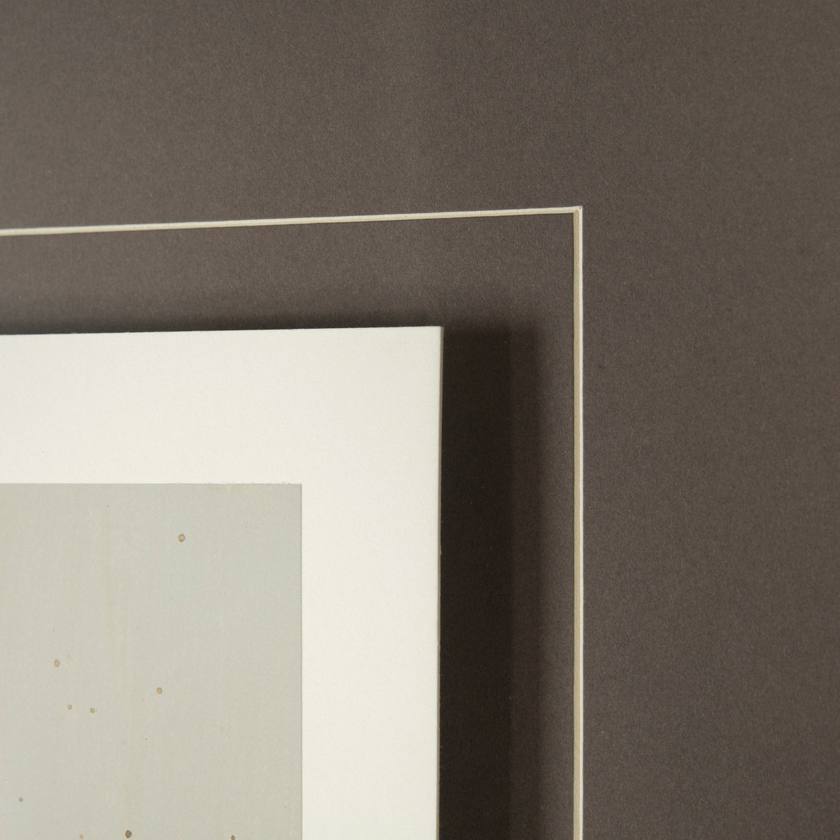 Rise & Shine II by Liz Jardine a Framed Art Print Matted under Glass from Mercana - Luna Furniture