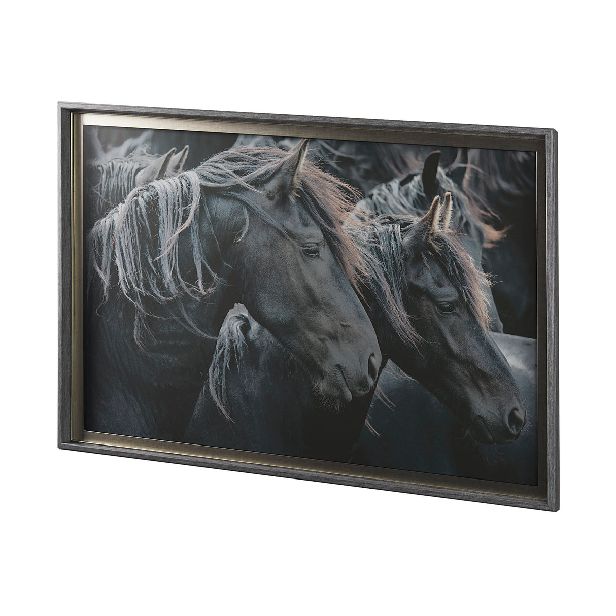 Majestic Admiration by Mercana Studio a Framed Photo Art Print Matted under Glass from Mercana - Luna Furniture