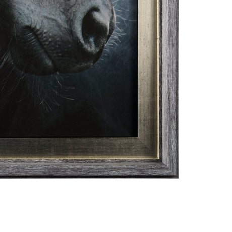 Majestic Admiration by Mercana Studio a Framed Photo Art Print Matted under Glass from Mercana - Luna Furniture