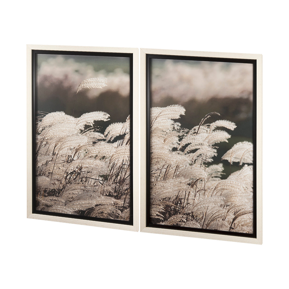 Nature's Melody by Mercana Studio a Framed Photo Art Print Matted under Glass from Mercana - Luna Furniture