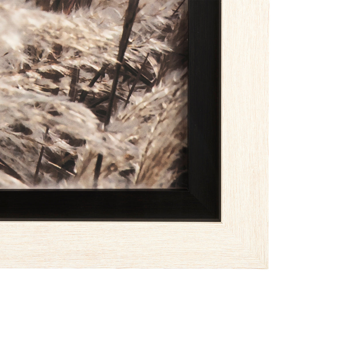 Nature's Melody by Mercana Studio a Framed Photo Art Print Matted under Glass from Mercana - Luna Furniture