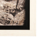 Nature's Melody by Mercana Studio a Framed Photo Art Print Matted under Glass from Mercana - Luna Furniture