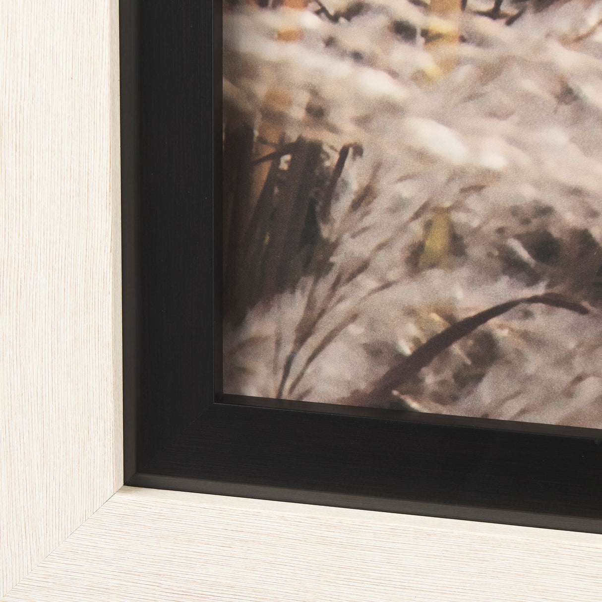 Nature's Melody by Mercana Studio a Framed Photo Art Print Matted under Glass from Mercana - Luna Furniture