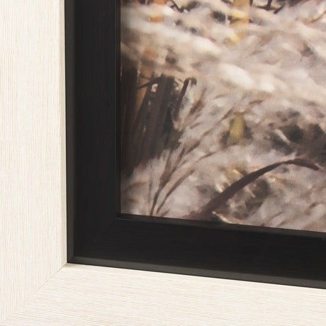 Nature's Melody by Mercana Studio a Framed Photo Art Print Matted under Glass from Mercana - Luna Furniture