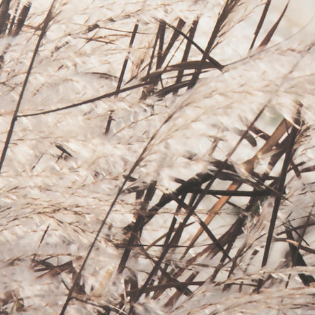Nature's Melody by Mercana Studio a Framed Photo Art Print Matted under Glass from Mercana - Luna Furniture