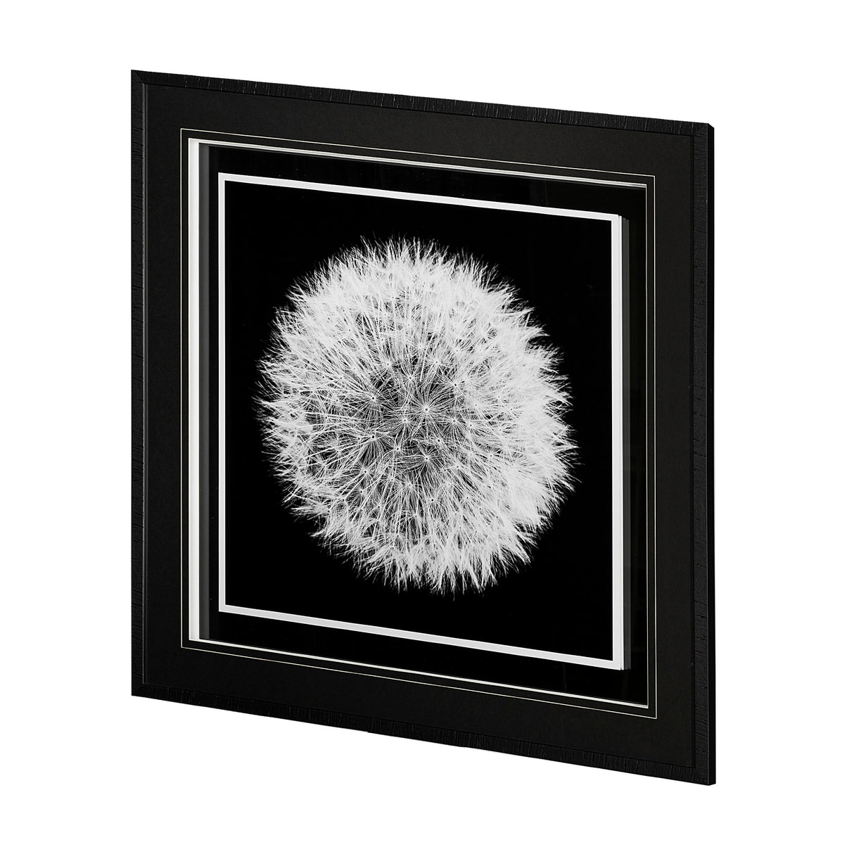 Dandelion on Black I by Aledanda a Framed Photo Art Print Matted under Glass from Mercana - Luna Furniture