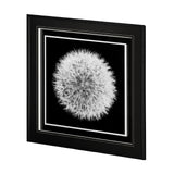 Dandelion on Black I by Aledanda a Framed Photo Art Print Matted under Glass from Mercana - Luna Furniture