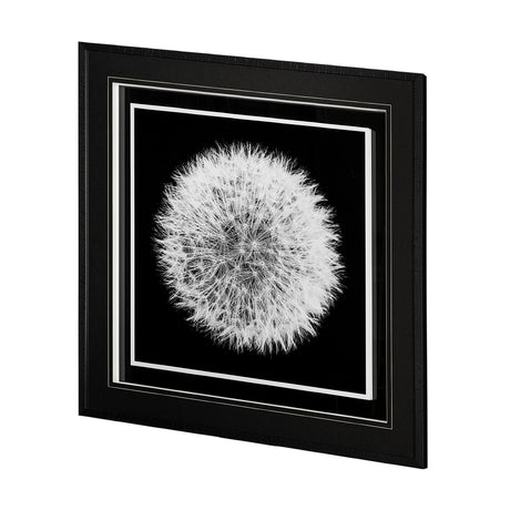 Dandelion on Black I by Aledanda a Framed Photo Art Print Matted under Glass from Mercana - Luna Furniture