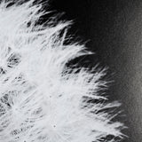Dandelion on Black I by Aledanda a Framed Photo Art Print Matted under Glass from Mercana - Luna Furniture