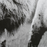 Islay Sheep I by Laura Marshall a Framed Photo Art Print Matted under Glass from Mercana - Luna Furniture